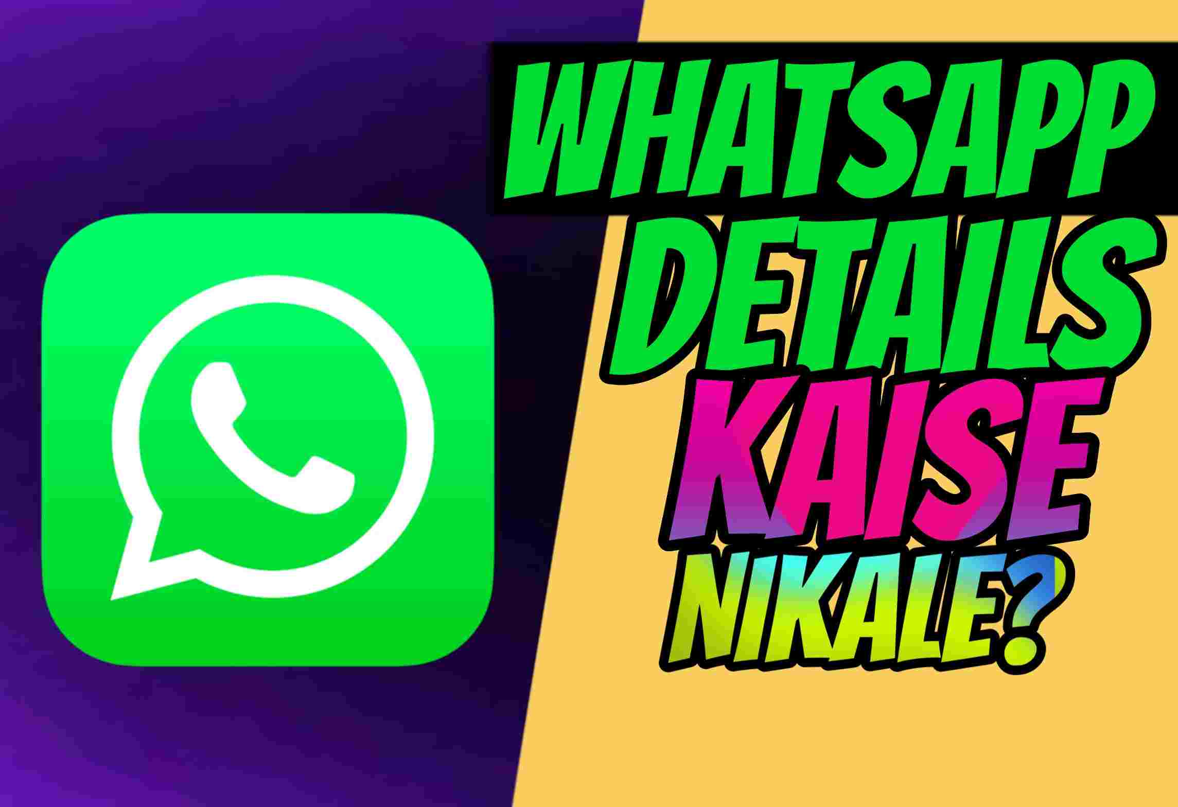 WhatsApp Details Kaise Nikale? WhatsApp Chat History And Call Details